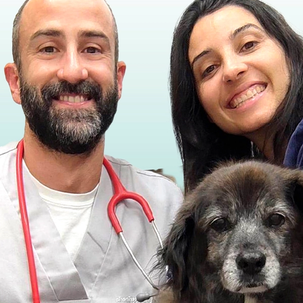 Clínica Veterinaria del Mar - Sicília