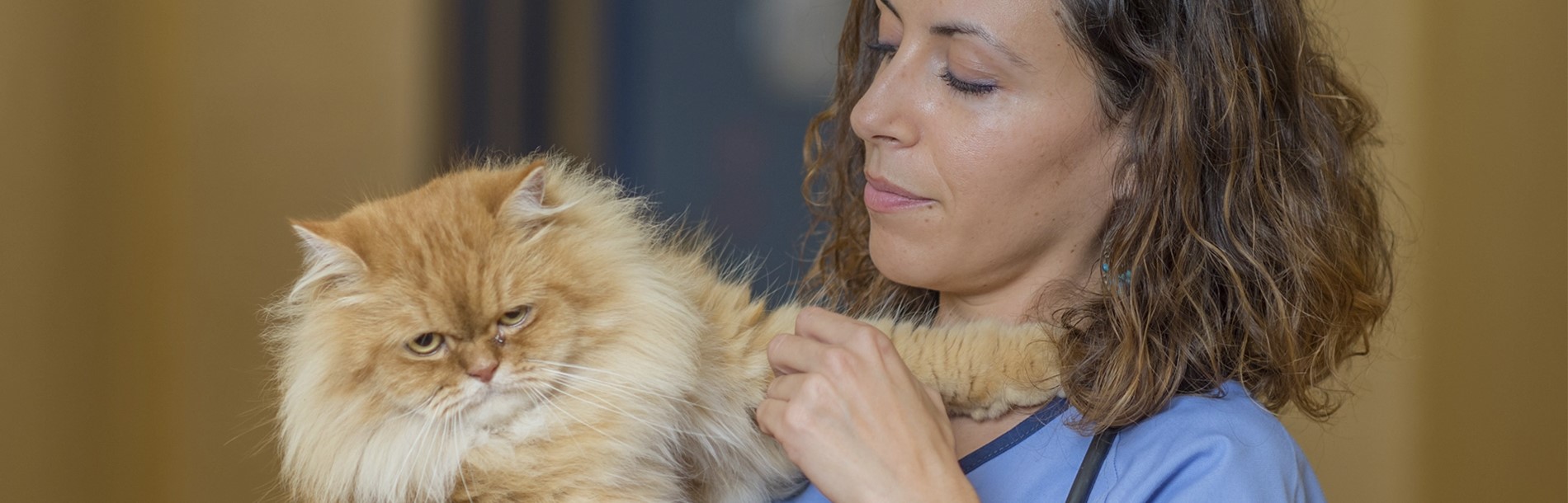 Clínica Veterinaria Añaterve