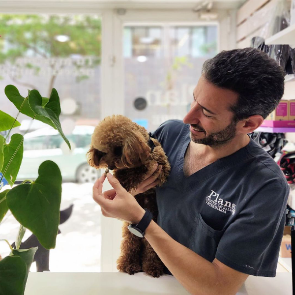 Clínica Veterinaria Plans Alcalans