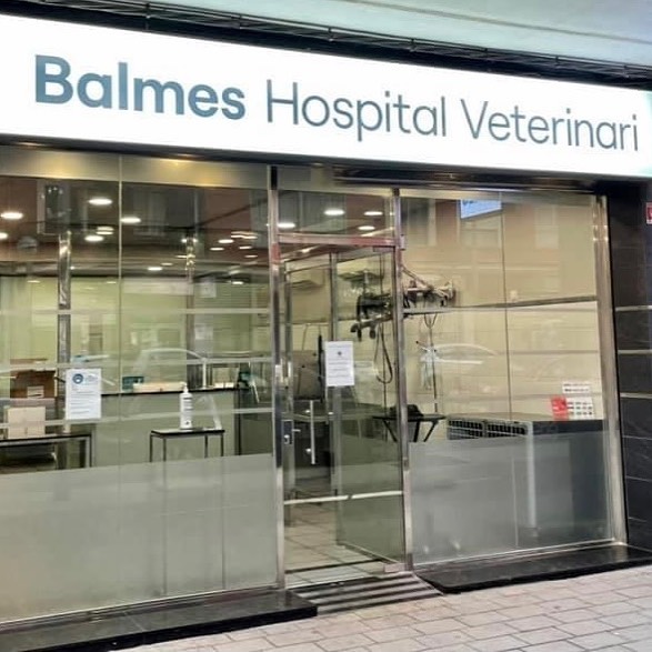 Balmes Hospital Veterinari