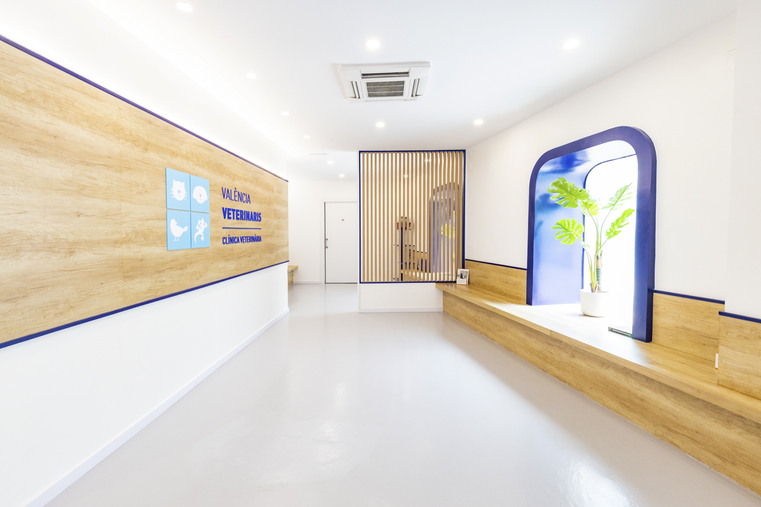 Clínica Veterinaria Valencia