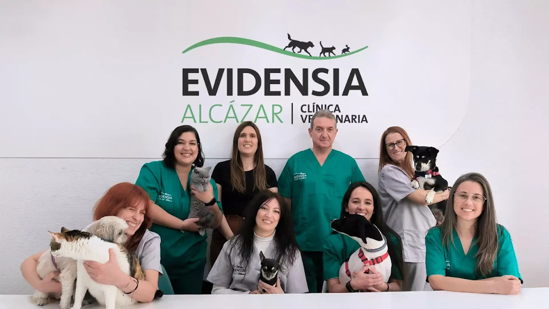 Evidensia Alcazar Clínica Veterinaria 