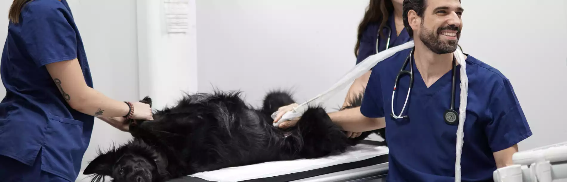 Clínica Veterinaria Peñagrande