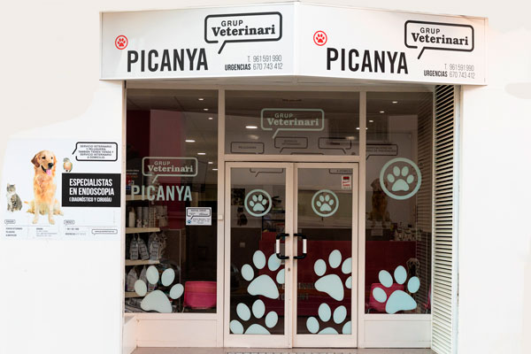 Clínica Veterinaria Picanya | IVC Evidensia