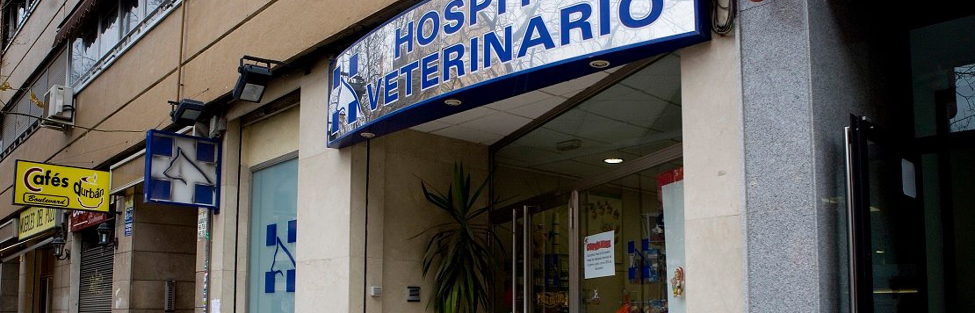 Hospital Veterinario Archiduque Carlos