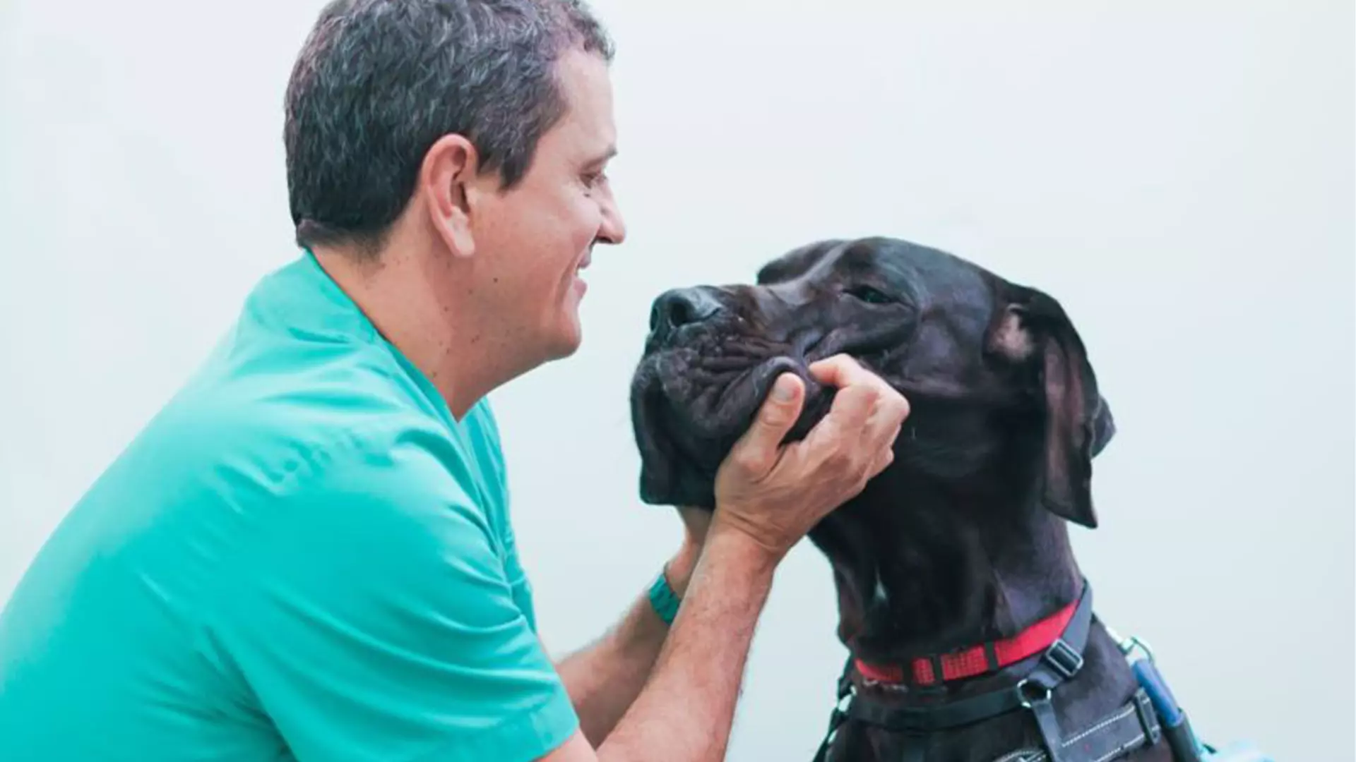 Clínica veterinaria Sant Andreu
