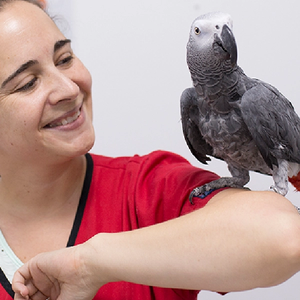 Su Veterinario Parla-Sur
