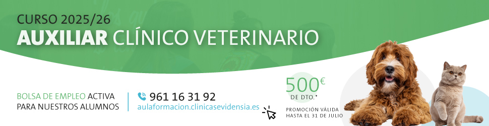 banner auxiliar