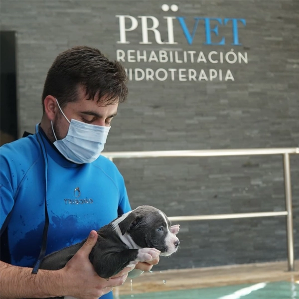 Hospital Veterinario Privet Aluche