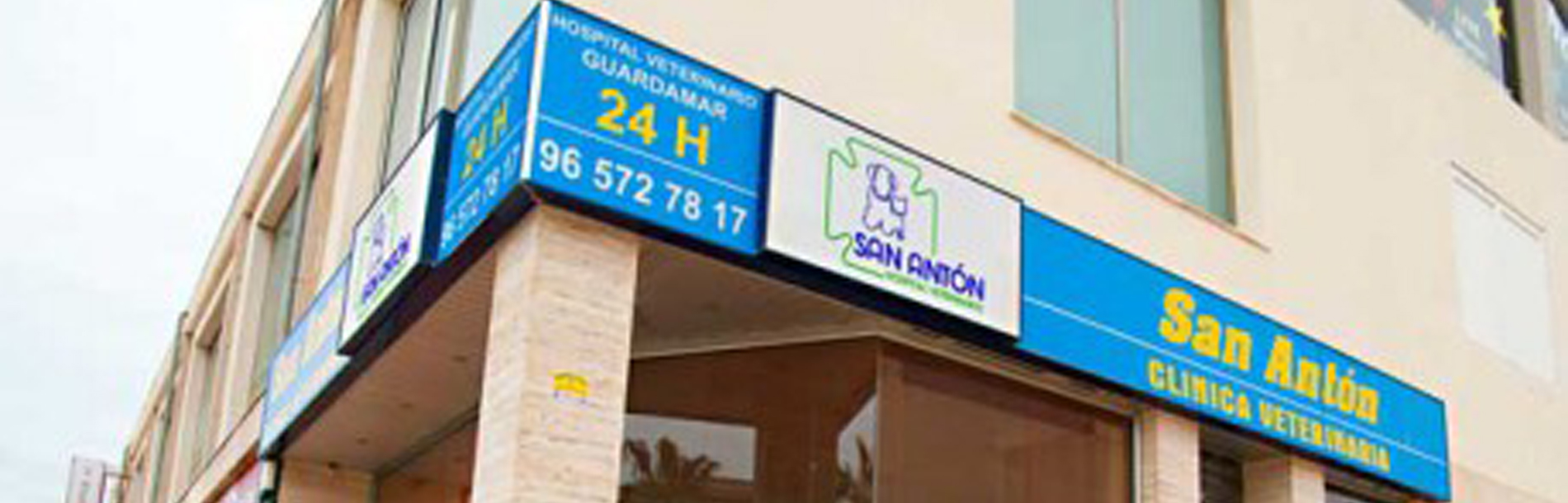Consultorio Veterinario Playa Flamenca