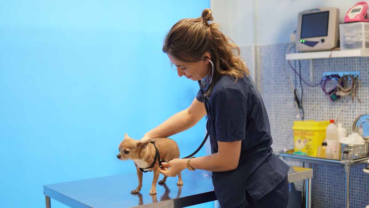 Urgencias Peñagrande