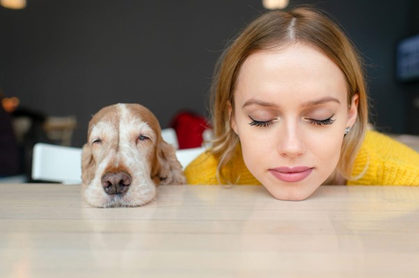 Cómo manejar el estrés y la ansiedad en mascotas