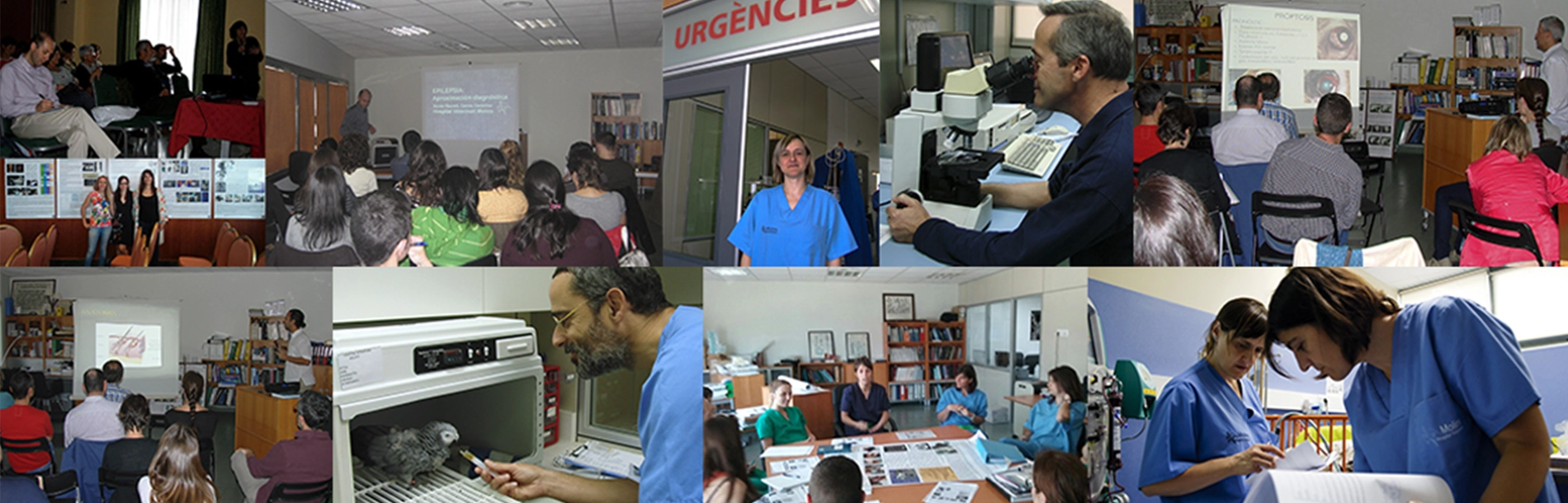 Hospital Veterinario Molins