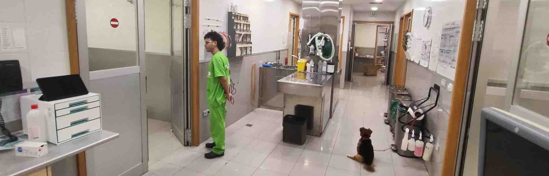 Hospital Veterinario Al Sur