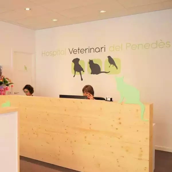 Hospital Veterinario del Penedés