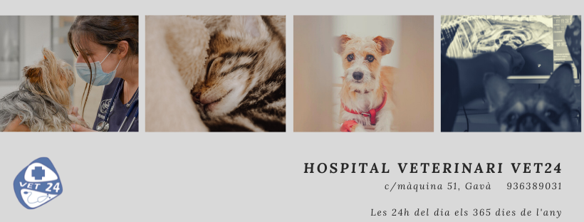 24Vet - Clínica veterinaria 24/7