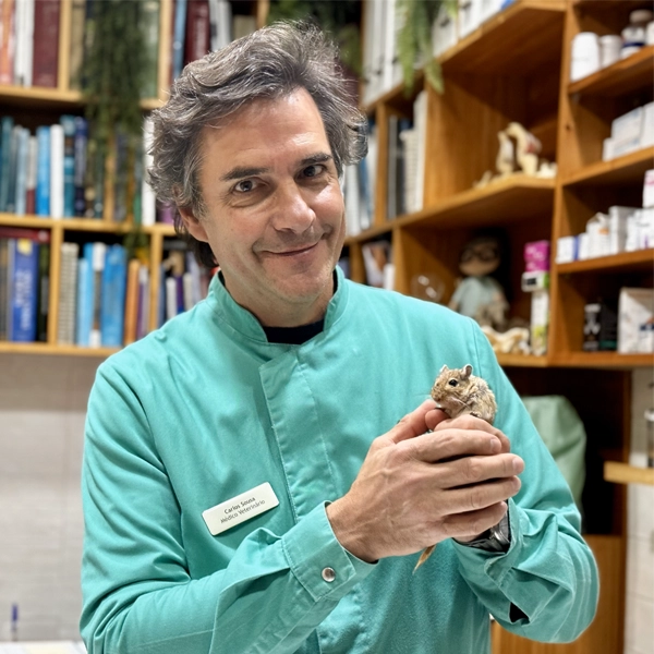 Serviços para Animais Exóticos