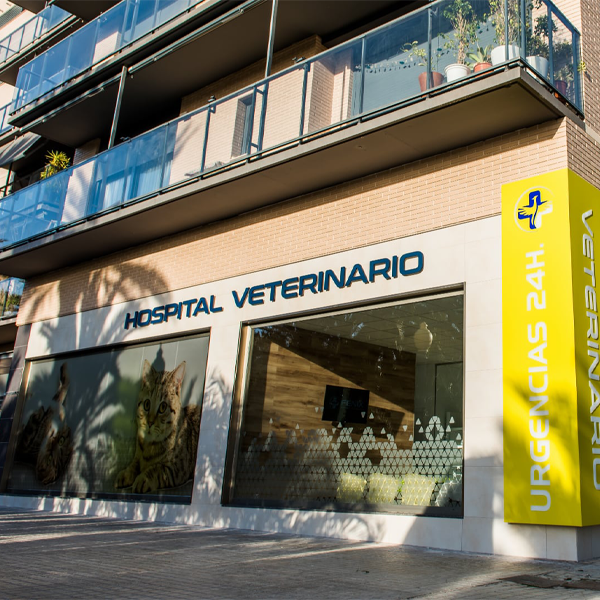 Fénix Hospital Veterinario