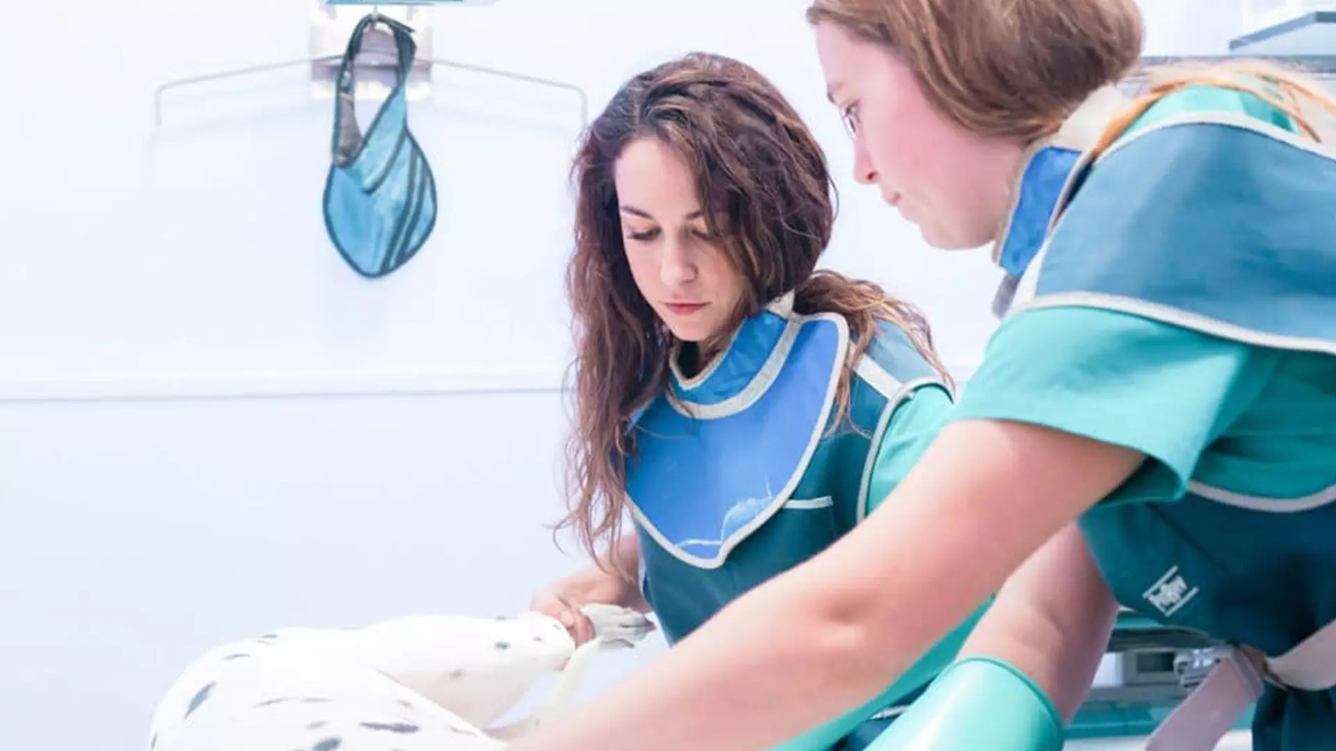 Hospital Veterinario Riera Alta