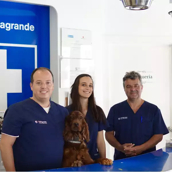 Clínica Veterinaria Guzmán el Bueno