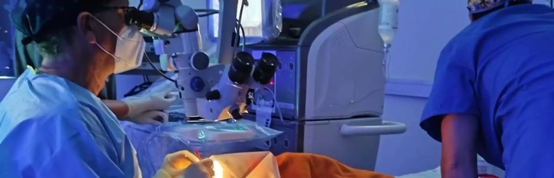 Visionvet Madrid, Oftalmología Veterinaria