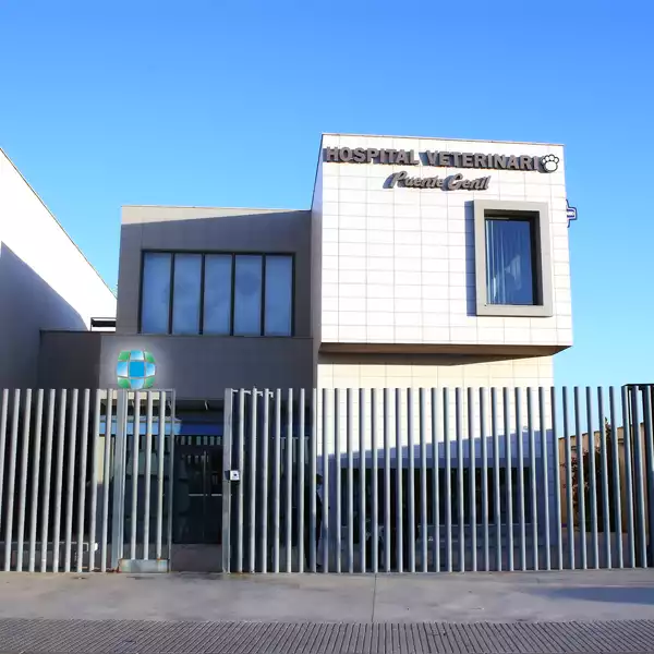 Hospital Veterinario Puente Genil