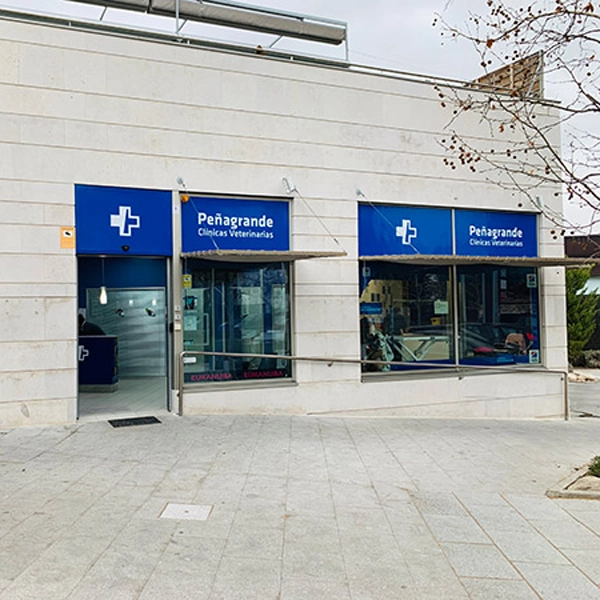 Hospital Veterinario La Moraleja