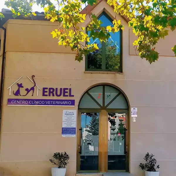 Centro Clínico Veterinario Teruel