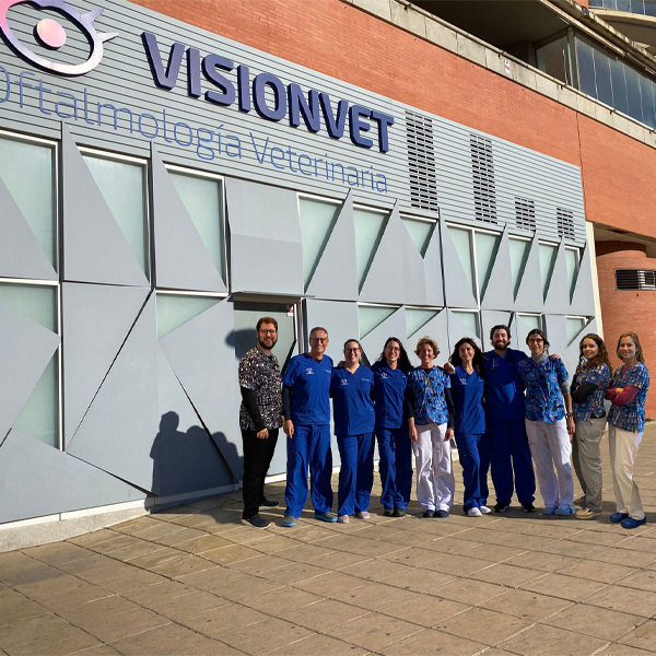Oftalmología Veterinaria VisionVet