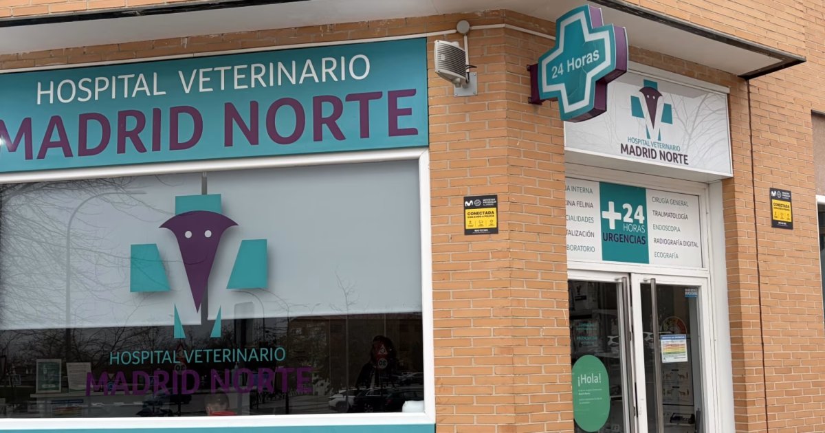 Hospital Veterinario Madrid Norte