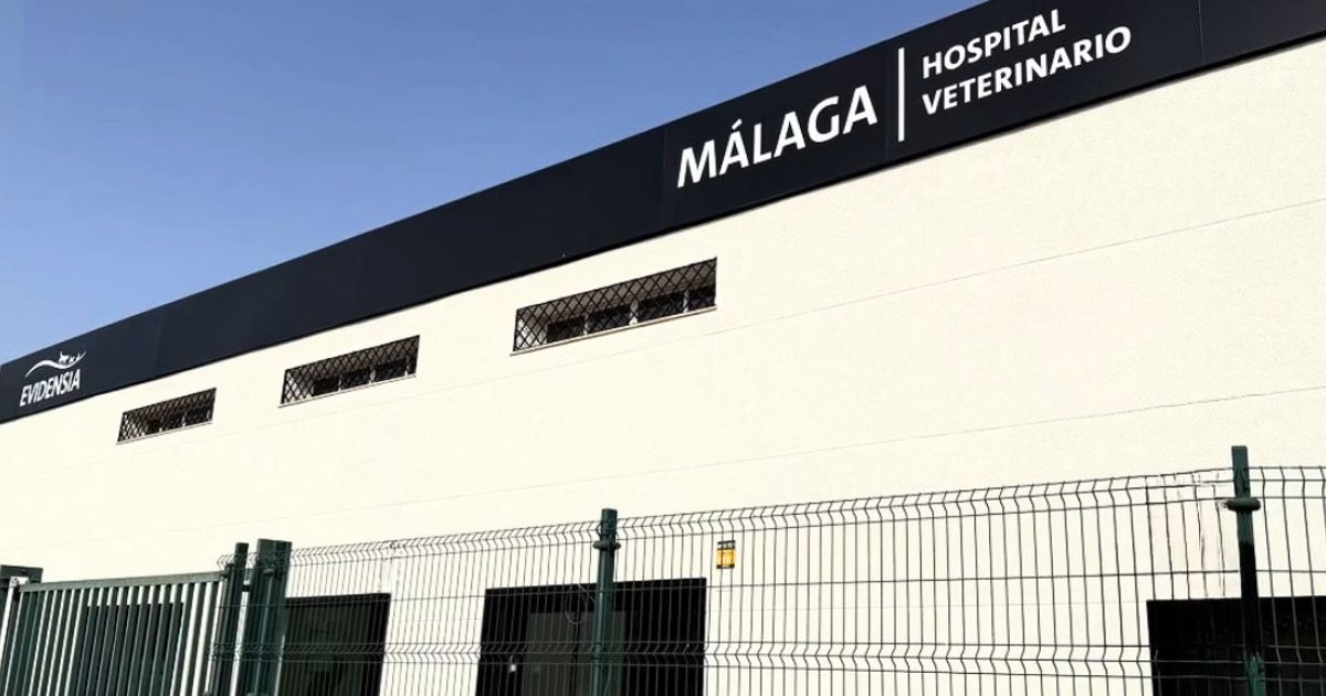 Evidensia Málaga Hospital Veterinario